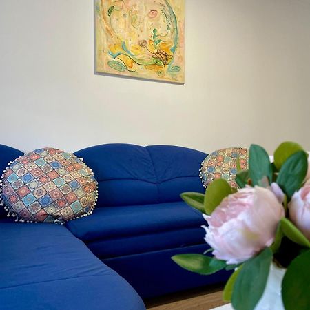 Apartament House Sasca Apartment Oradea Bagian luar foto